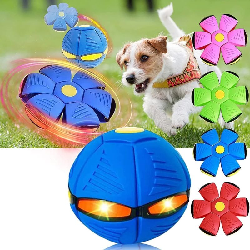 Pelota Magica Para Niño y Perros