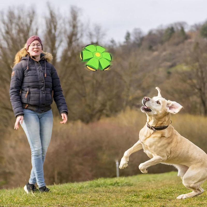 Pelota Magica Para Niño y Perros